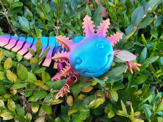 Flexible Axolotl 3D Printed Articulated Desktop Pet - Excellent Fidget Toy, Sensory Toy, or ADHD! Flexi!